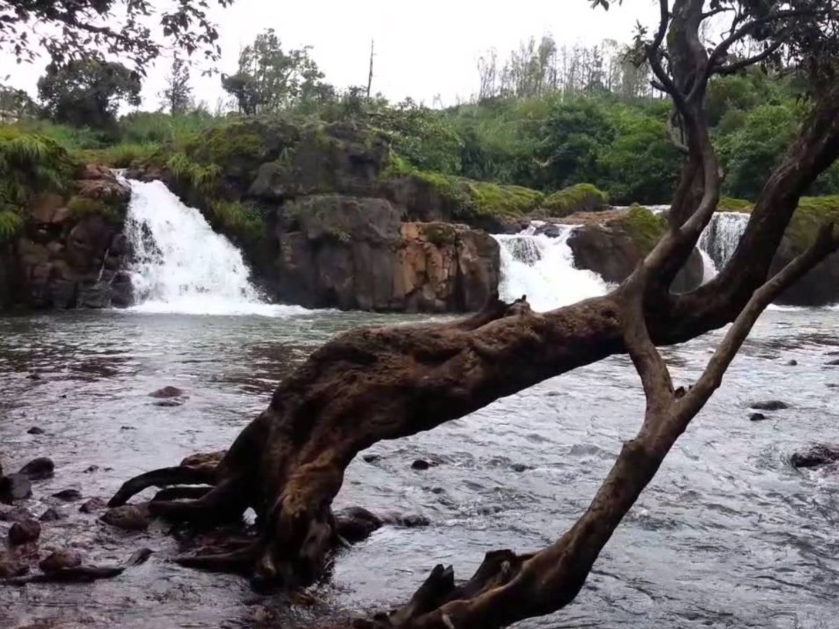 mahabaleshwar lingmala waterfall temporarily closed for tourists due to heavy rain