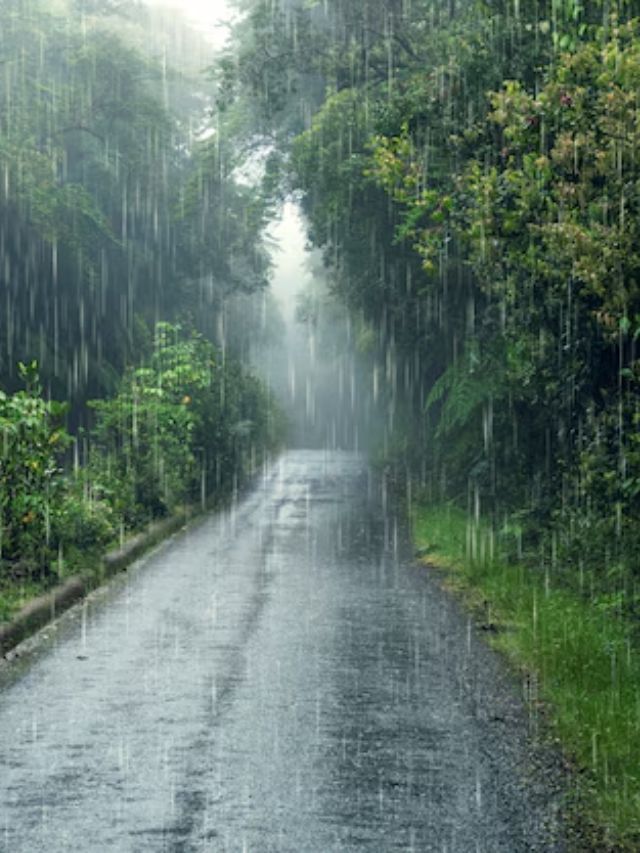 IMD predicts above-normal rainfall in August and September in maharashtra 