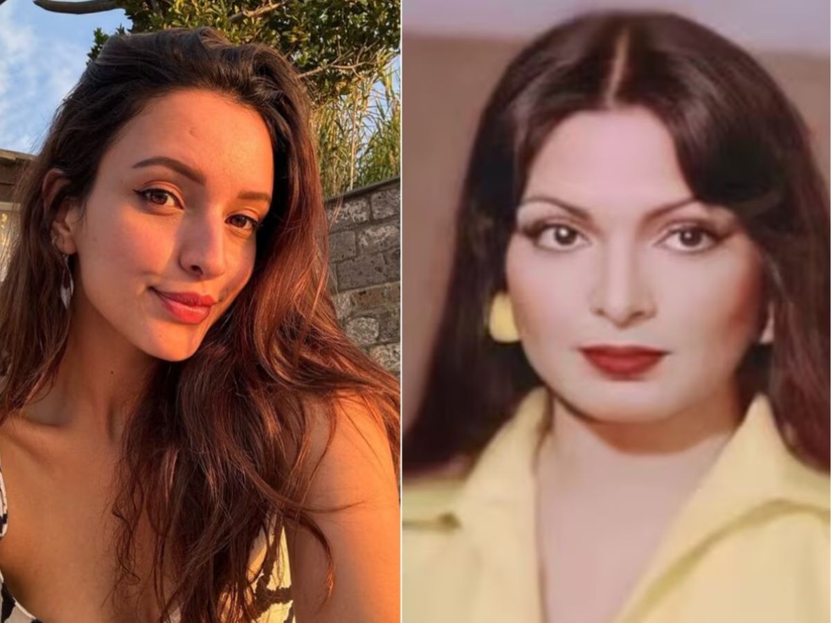 परवीन बाबीच्या मृत्यूचं रहस्य अखेर समोर येणार; Animal फेम तृप्ती डिमरी मुख्य भूमिकेत