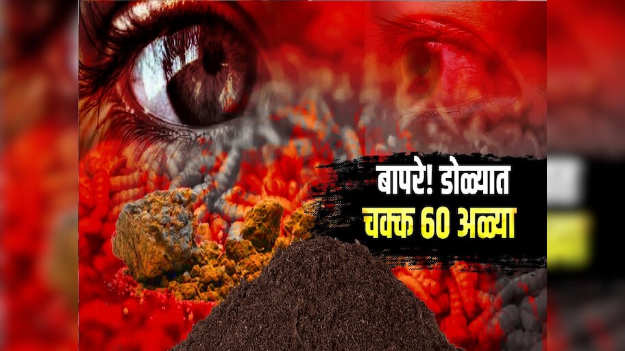 बापरे! महिलेच्या डोळ्यात चक्क 60 जिवंत अळ्या, डॉक्टरही अचंबित... नेमकं काय घडलं?