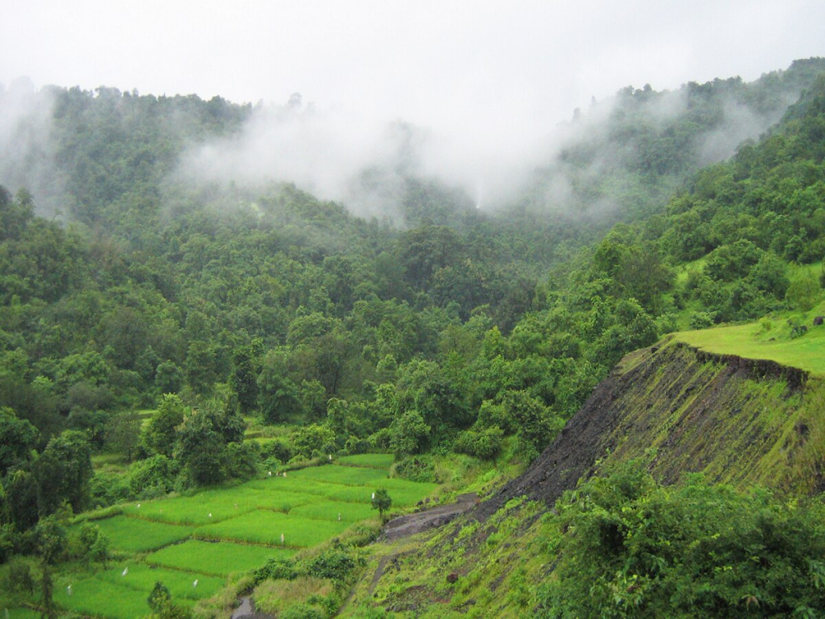 Maharashtra Weather News : आठवड्याच्या शेवटी राज्यातील कोणत्या भागांना पावसाचा तडाखा, कुठे विश्रांती? हवामान विभागाचं उत्तर पाहा...  title=