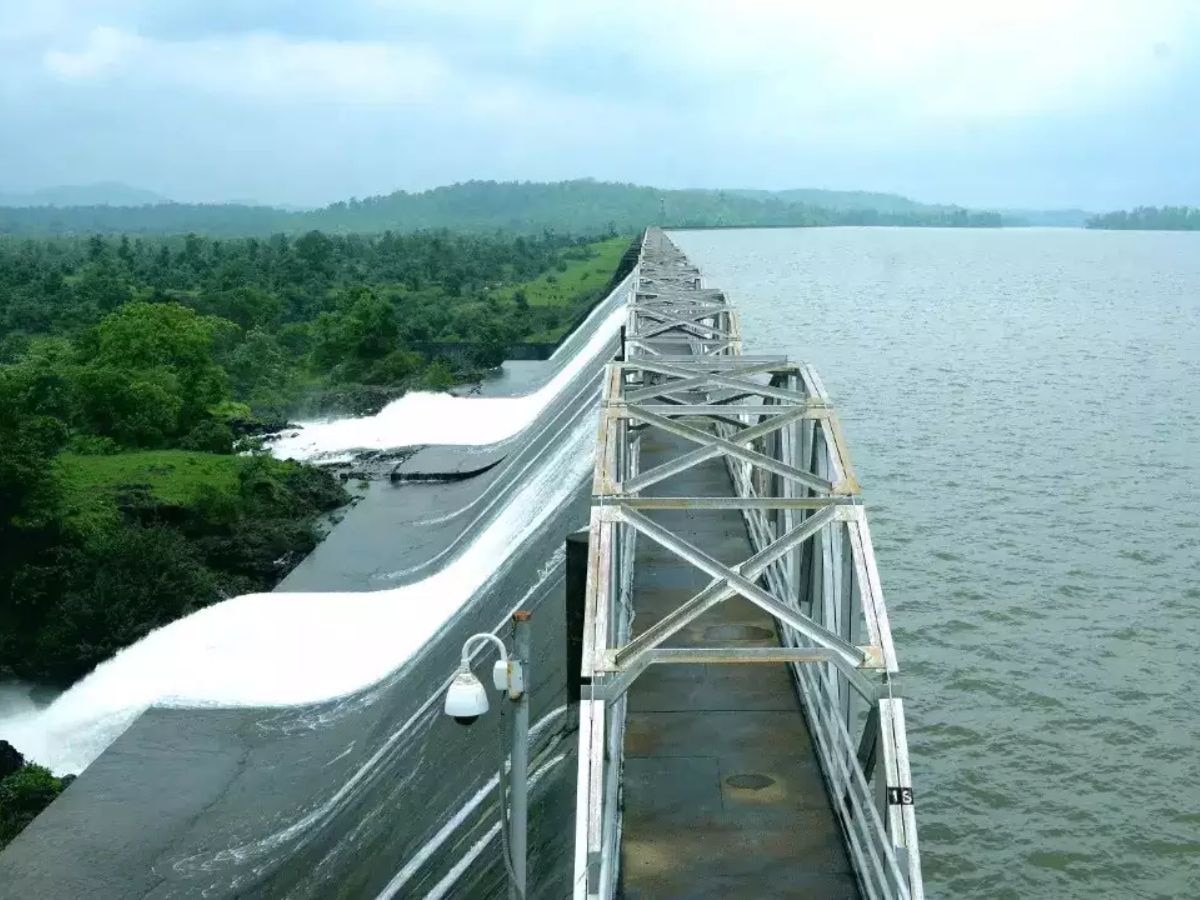 राज्यातील धरणांमध्ये किती टक्के पाणीसाठा, टक्केवारी पाहून म्हणाल 'वर्षभर पुरणार का?' title=