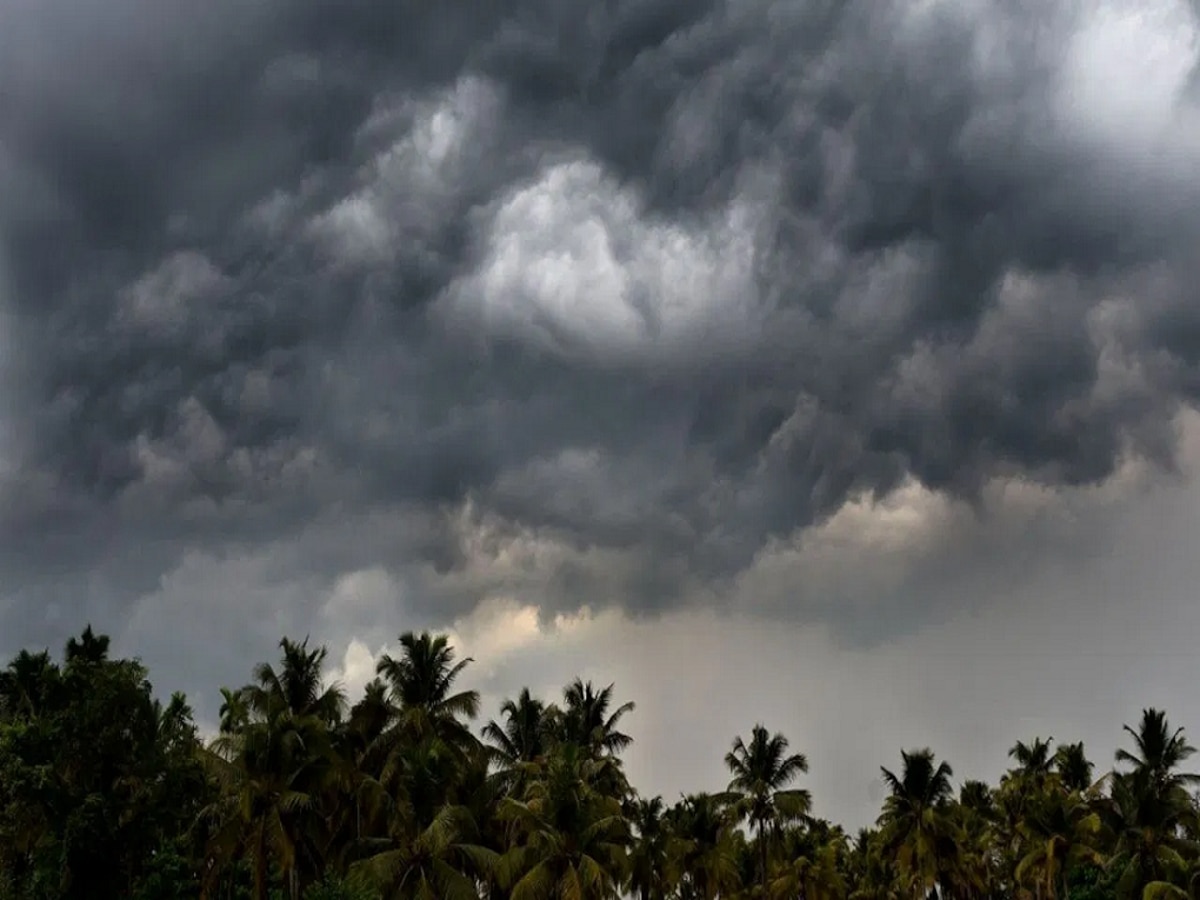 Maharashtra Weather News : मुंबईसह उपनगरात उघडीप; विदर्भात मात्र मुसळधार, पावसानं खरंच परतीची वाट धरली?  title=