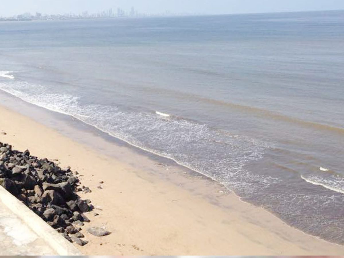 घरात उकडत होतं म्हणून वर्सोवा बीचवर येऊन झोपले, अन् तिथेच घात झाला, एकाचा मृत्यू घरात उकडत होतं म्हणून वर्सोवा बीचवर येऊन झोपले, अन् तिथेच घात झाला, एकाचा मृत्यू