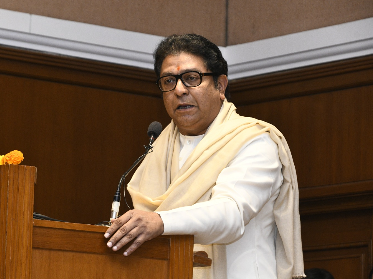 भारतात भाऊ साठे यांच्यासारख्या कलाकारांची दखल घेतली जात नाही - राज ठाकरे भारतात भाऊ साठे यांच्यासारख्या कलाकारांची दखल घेतली जात नाही - राज ठाकरे