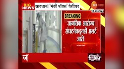 सावधान! 'मंकी पॉक्स' देशाच्या वेशीवर; WHO कडून अलर्ट जारी
