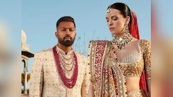 नताशा स्टेनकोविकनं हार्दिकला घटस्फोट देण्याचं खरं कारण आलं समोर, 'या' गोष्टींमुळे झालेली अस्वस्थ