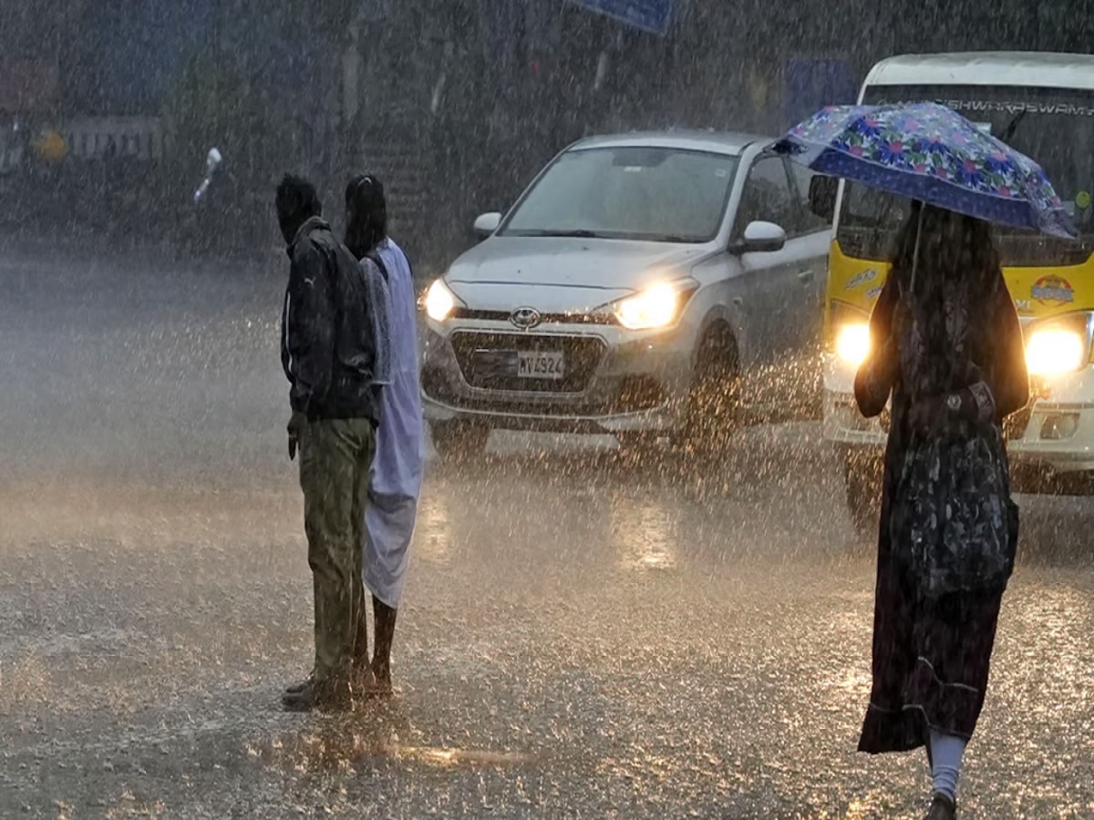 Maharashtra Weather News : ऑरेंज, यलो, रेड...; राज्यात सर्वत्र पावसाचे अलर्ट जारी, कुठं परिस्थिती धडकी भरवणार?  title=