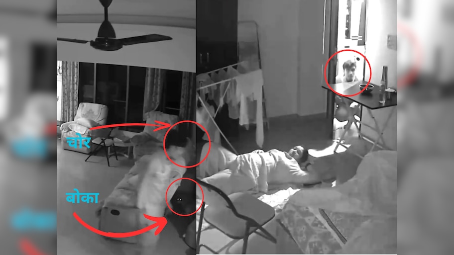 VIDEO: मध्यरात्र, प्रसिद्ध डायरेक्टरचा फ्लॅट,चोर आणि बोका; 'हा' प्रकार पाहून मुंबईकरांची झोप उडेल!