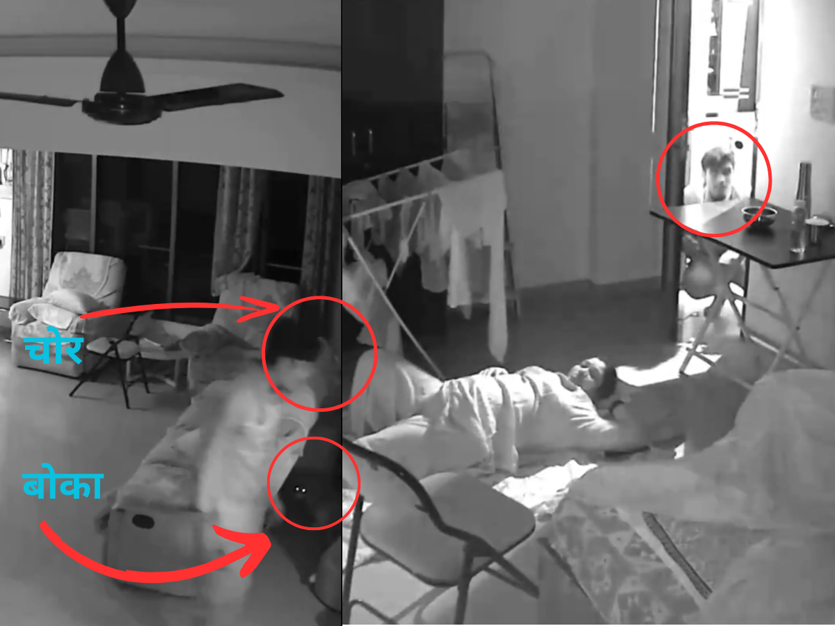 VIDEO: मध्यरात्र, प्रसिद्ध डायरेक्टरचा फ्लॅट,चोर आणि बोका; 'हा' प्रकार पाहून मुंबईकरांची झोप उडेल! VIDEO: मध्यरात्र, प्रसिद्ध डायरेक्टरचा फ्लॅट,चोर आणि बोका; 'हा' प्रकार पाहून मुंबईकरांची झोप उडेल!