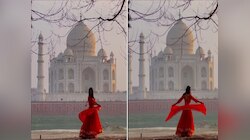 परदेशी महिलेने ताजमहलसमोर फोटो काढला, नंतर लिहिलं Don't Travel to India... तरी होतंय कौतुक