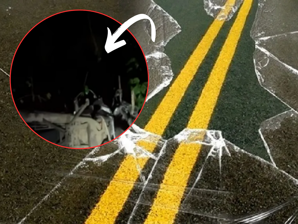 Hit and Run नं मुंबई हादरली; 24 वर्षीय तरुणाचा मृत्यू; पुणे, वरळीमागोमाग विचित्र अपघाताचा आणखी एक बळी Hit and Run नं मुंबई हादरली; 24 वर्षीय तरुणाचा मृत्यू; पुणे, वरळीमागोमाग विचित्र अपघाताचा आणखी एक बळी