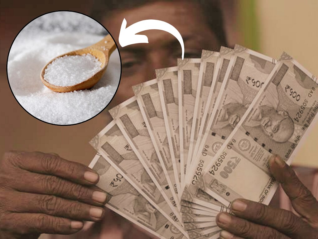 'सॅलरी' या शब्दाचा जन्म कसा झाला माहितीये? त्याचा मीठाशी काय संबंध? Meaning of a word salary