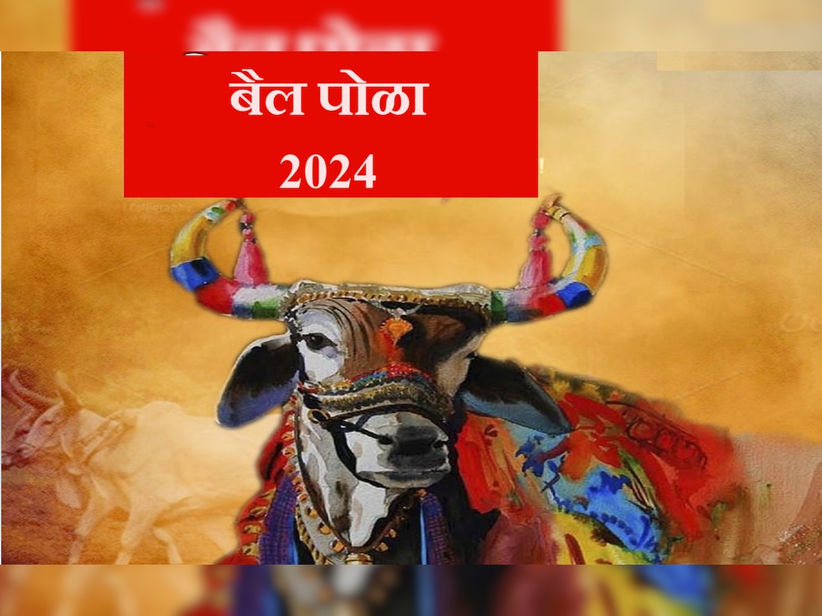 Pola 2024 Date : पोळा सण कधी? कशी करावी सर्जा राजाची पूजा, तर 'या' पदार्थांशिवाय बैलपोळा अन् श्रावणी अमावस्या अपुरीच title=