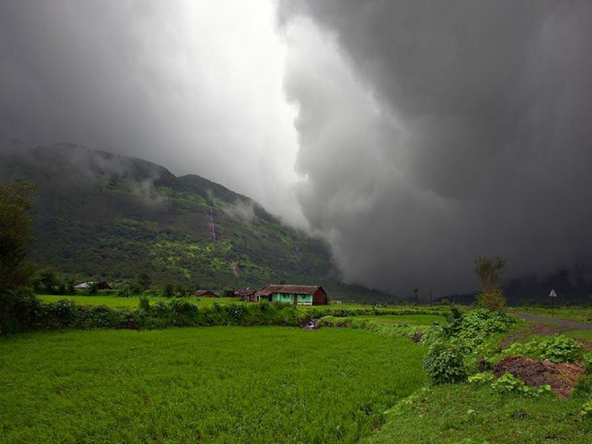 Weather Update :विदर्भ, मराठवाड्याकडून पावसाचा मोर्चा आता कोकणाकडे; गणपती गाजवणार, 20 राज्यांमध्येही मुसळधार  title=