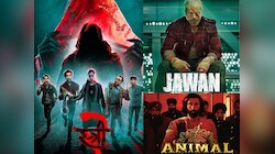 'स्त्री 2' ने मोडला शाहरुखच्या 'जवान' आणि रणबीरच्या 'अॅनिमलचा' विक्रम, आतापर्यंत किती कोटी कमवले? 