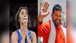 दुसऱ्यांचा हक्क मारला म्हणून तुला देवाने शिक्षा दिली! बृजभूषणची विनेशवर थेट टीका