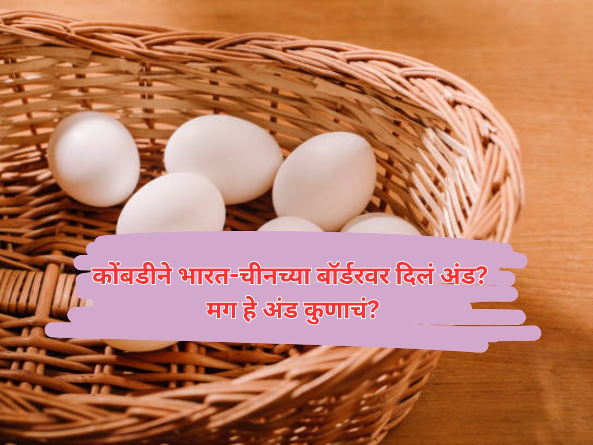 GK Quiz : कोंबडीने भारत-चीन बॉर्डरवर दिलं अंड, आता ते अंड नेमकं कुणाचं? title=