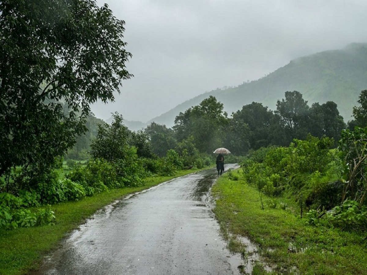 Maharashtra Weather Update : विदर्भात मुसळधार; उर्वरित राज्यातून मात्र पावसाचा काढता पाय? पाहा कुठे निघाला मान्सून  title=