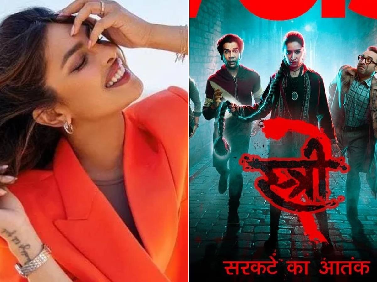 'स्त्री 2' चित्रपटातील 'या' गाण्याचं प्रियंका चोप्राकडून कौतुक, म्हणाली... title=