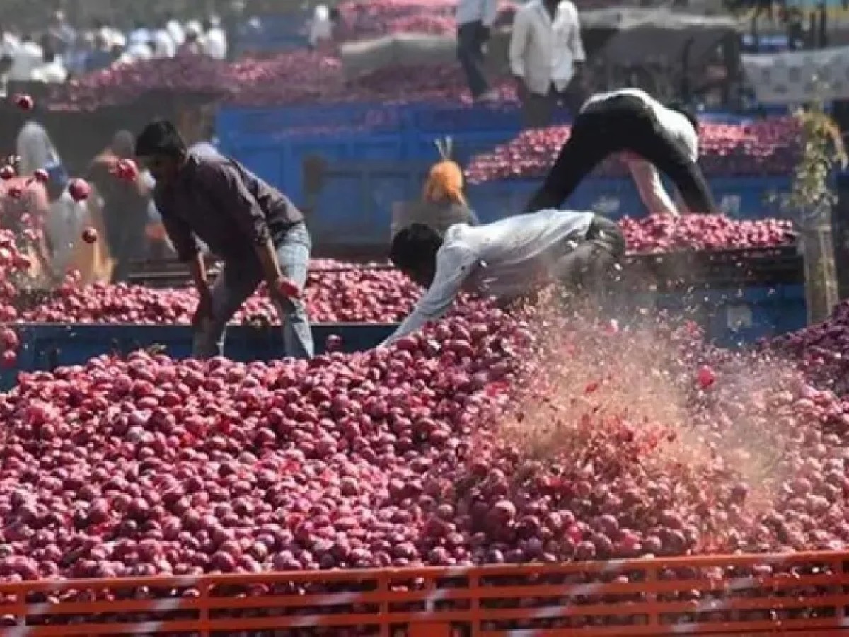 Onion : मोदी सरकारचा कांदा उत्पादक शेतकऱ्यांना मोठा दिलासा, कांद्यावरील निर्यात मूल्य हटवले Onion : मोदी सरकारचा कांदा उत्पादक शेतकऱ्यांना मोठा दिलासा, कांद्यावरील निर्यात मूल्य हटवले