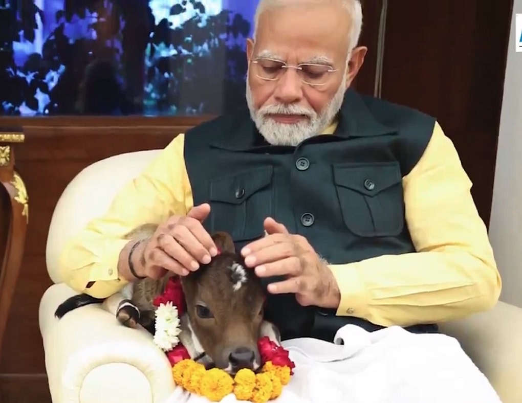 Pm Modi Shared welcomes A special guest Calf Deepjyoti photos 