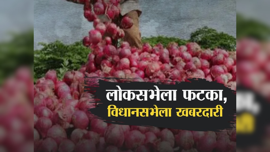 महाराष्ट्राच्या निवडणुकीत कांदा ठरणार गेम चेंजर? केंद्र सरकारच्या निर्णयाचा महायुतीला फायदा होणार? 