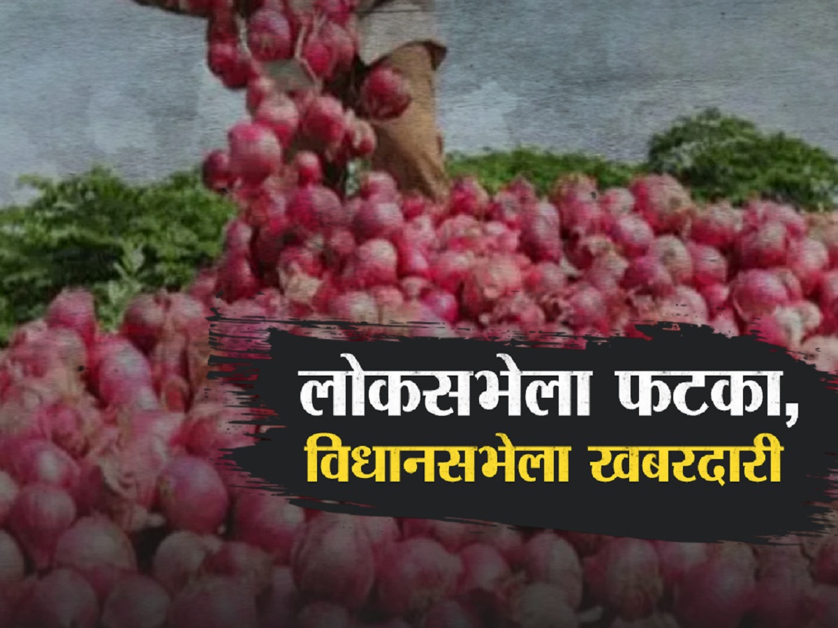 महाराष्ट्राच्या निवडणुकीत कांदा ठरणार गेम चेंजर? केंद्र सरकारच्या निर्णयाचा महायुतीला फायदा होणार? महाराष्ट्राच्या निवडणुकीत कांदा ठरणार गेम चेंजर? केंद्र सरकारच्या निर्णयाचा महायुतीला फायदा होणार?