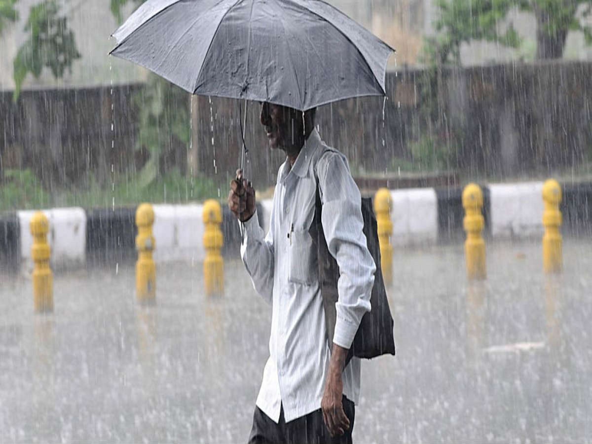 Maharashtra Weather News : गणेशोत्सवाच्या सांगतेसह पावसाची राज्यात पुन्हा एन्ट्री; कोणत्या भागांमध्ये कोसळधार?  title=