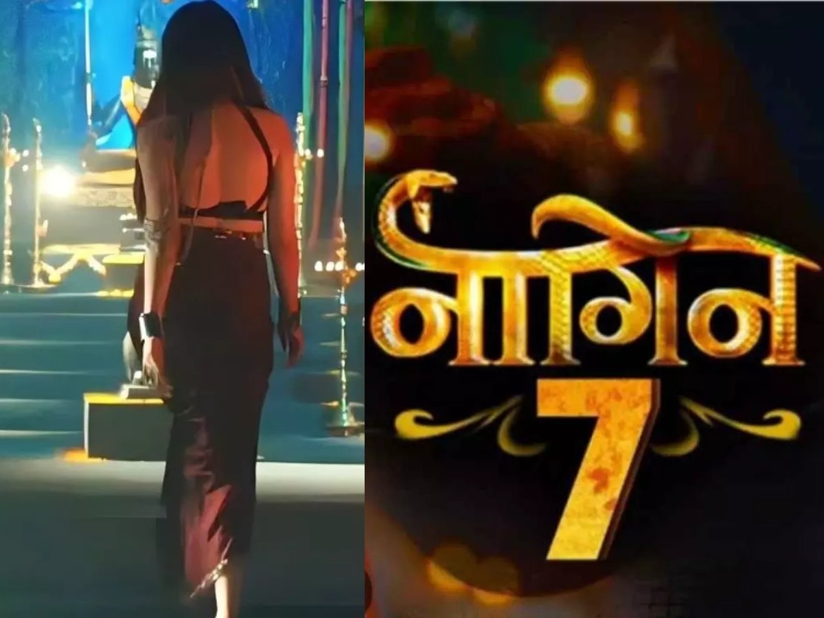 Naagin Season 7 मध्ये बिग बॉस 16 मधील 'ही' अभिनेत्री होऊ शकते पुढची 'नागिन'? कधी होणार प्रदर्शित?  title=