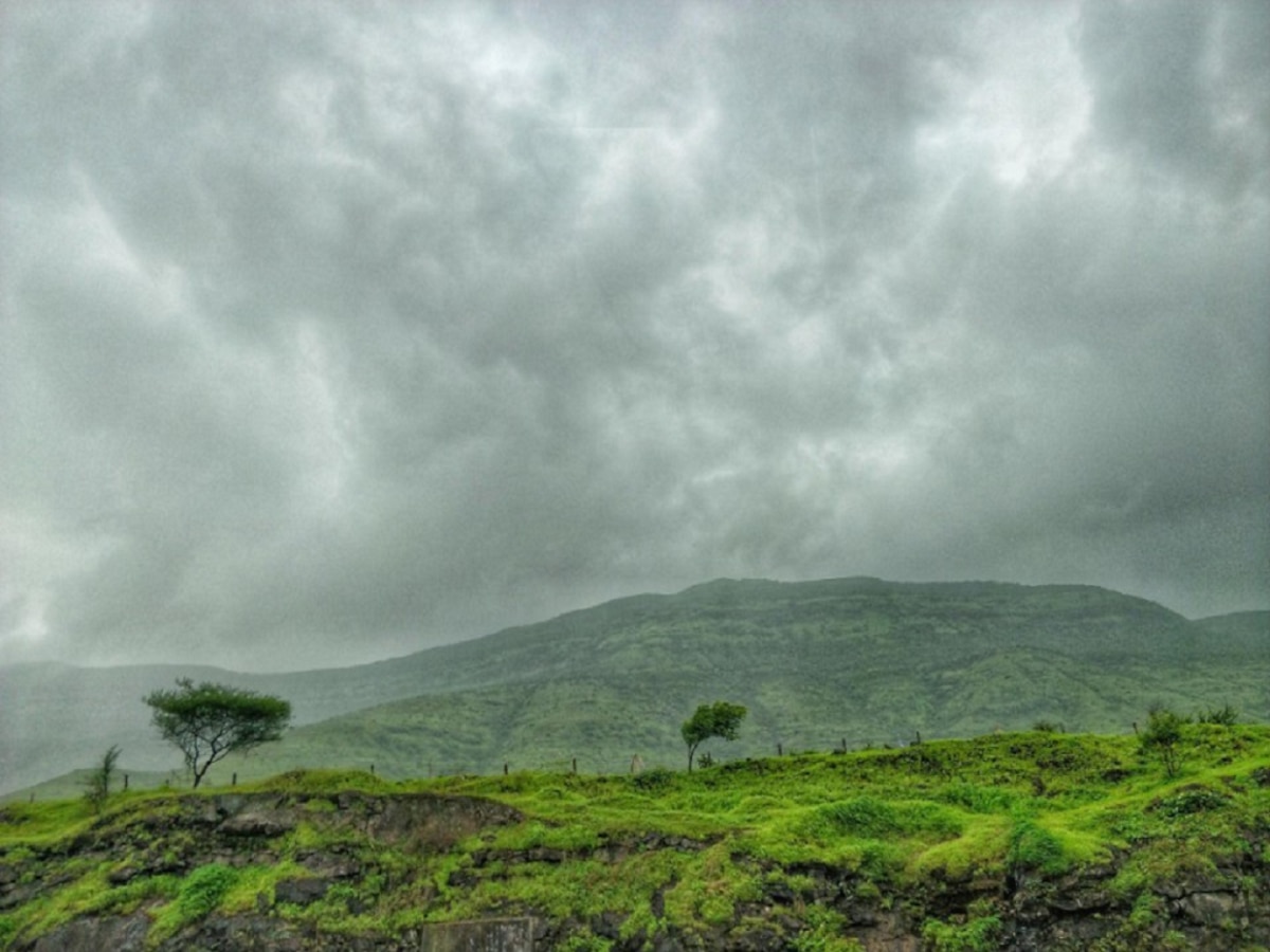 Maharashtra Weather News : पाऊस पाठ सोडेना, उकाडा कमी होईना; राज्यातील हवामानात का होतायत झपाट्यानं बदल?  title=