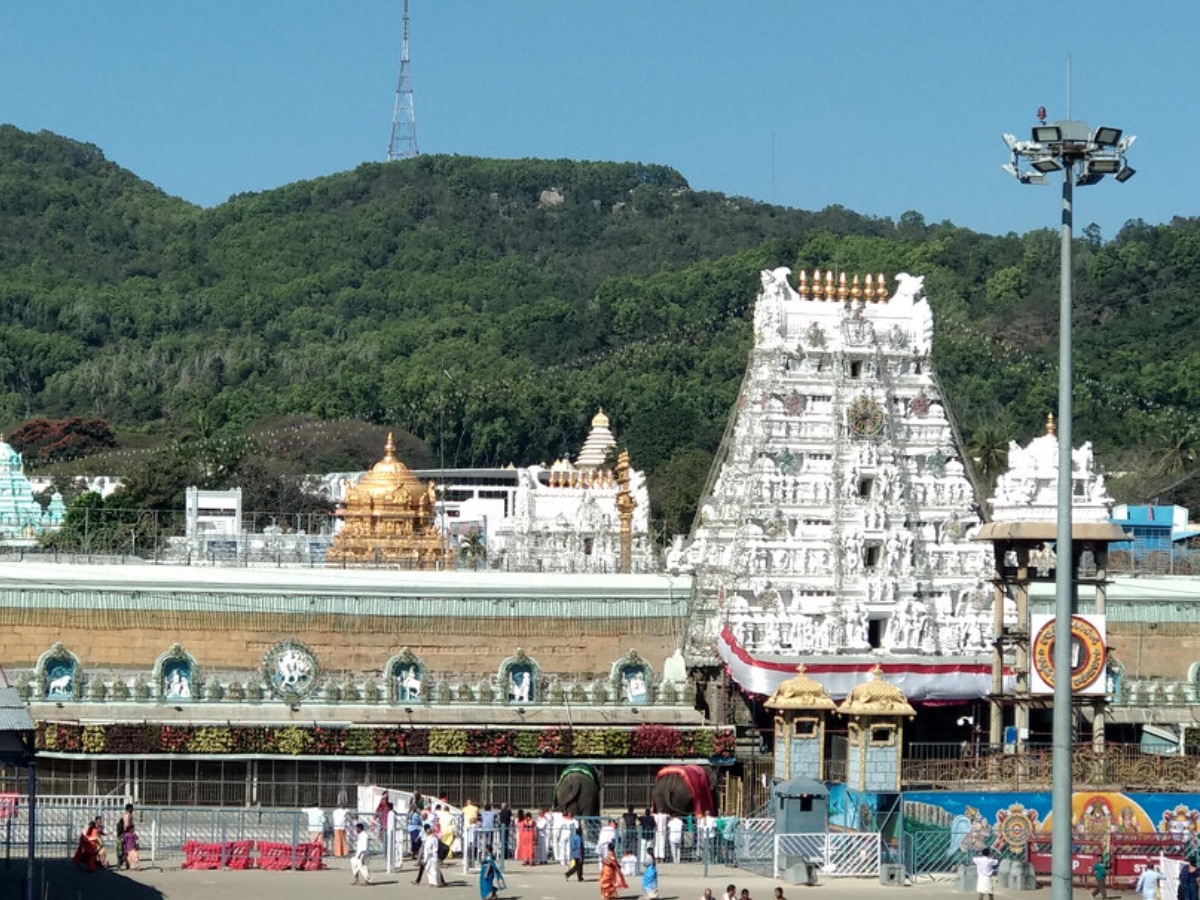 Tirupati balaji Temple Hair Donation income sources Marathi News 