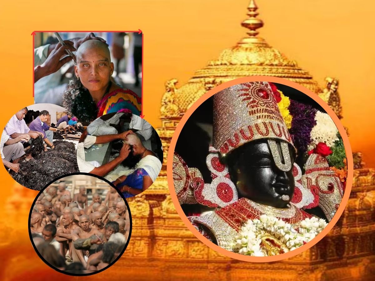 Tirupati balaji Temple Hair Donation income sources Marathi News 