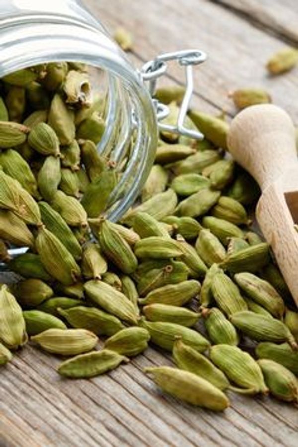 Cardamom plantation gardening tips and tricks to grow 