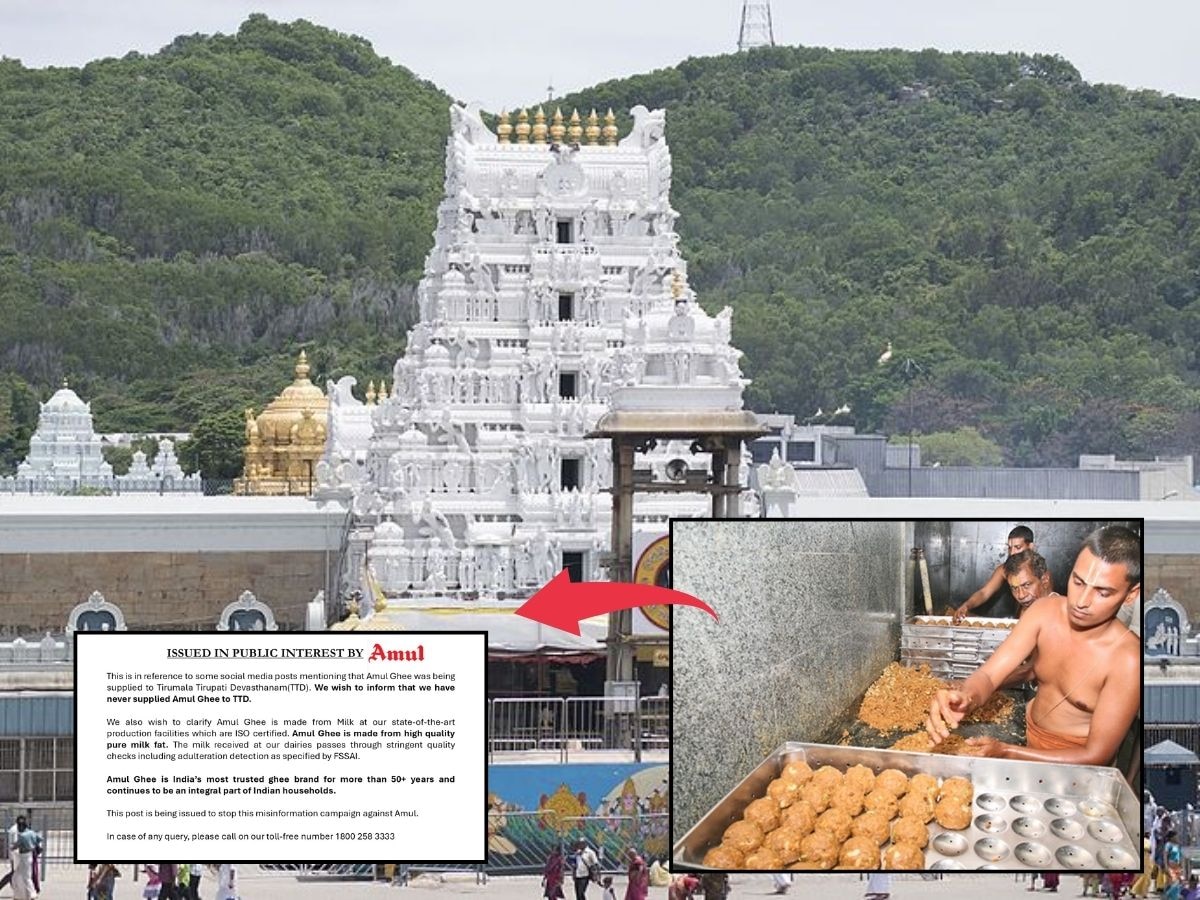 Tirupati Laddu : 'आम्ही तिरुपती मंदिराला तूप कधीच पुरवलं नाही', लाडू वादावर अमूलचं स्पष्टीकरण  title=