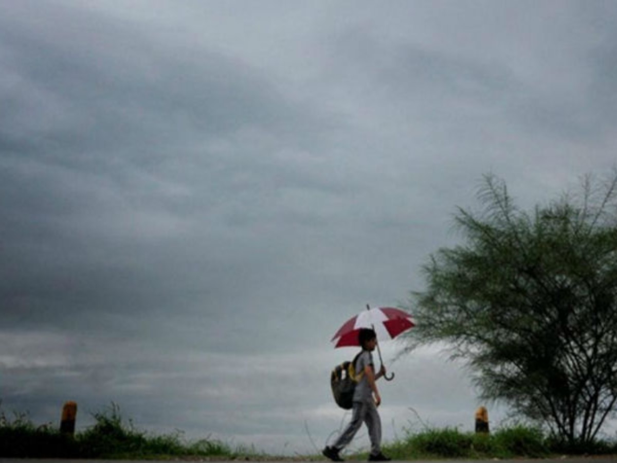 Weather Update : येत्या 4-5 दिवसांत पावसाचा जोर वाढणार, IMD चा अंदाज  title=