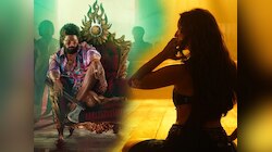 Pushpa 2 मधील तृप्ती डिमरीचे आयटम साँग रद्द, ऑडिशननंतर तिला नाकारण्यात आले? 