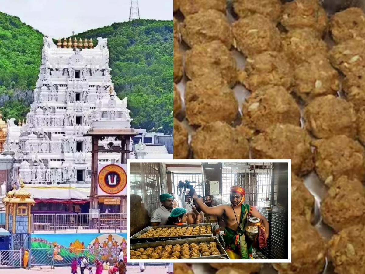 Tirupati Laddoos Controversy: प्राण्यांची चरबी मिसळल्याच्या आरोपांनंतर तिरुपतीमध्ये किती लाडूंची विक्री? 4 दिवसांत... title=