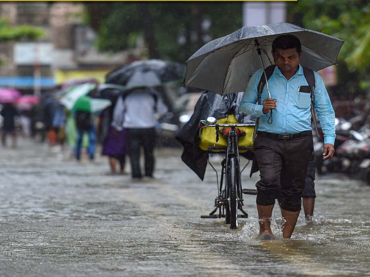 Maharashtra Rain: उद्या राज्यात कशी असेल पावसाची स्थिती? आजच जाणून घ्या हवामान खात्याचा अंदाज title=