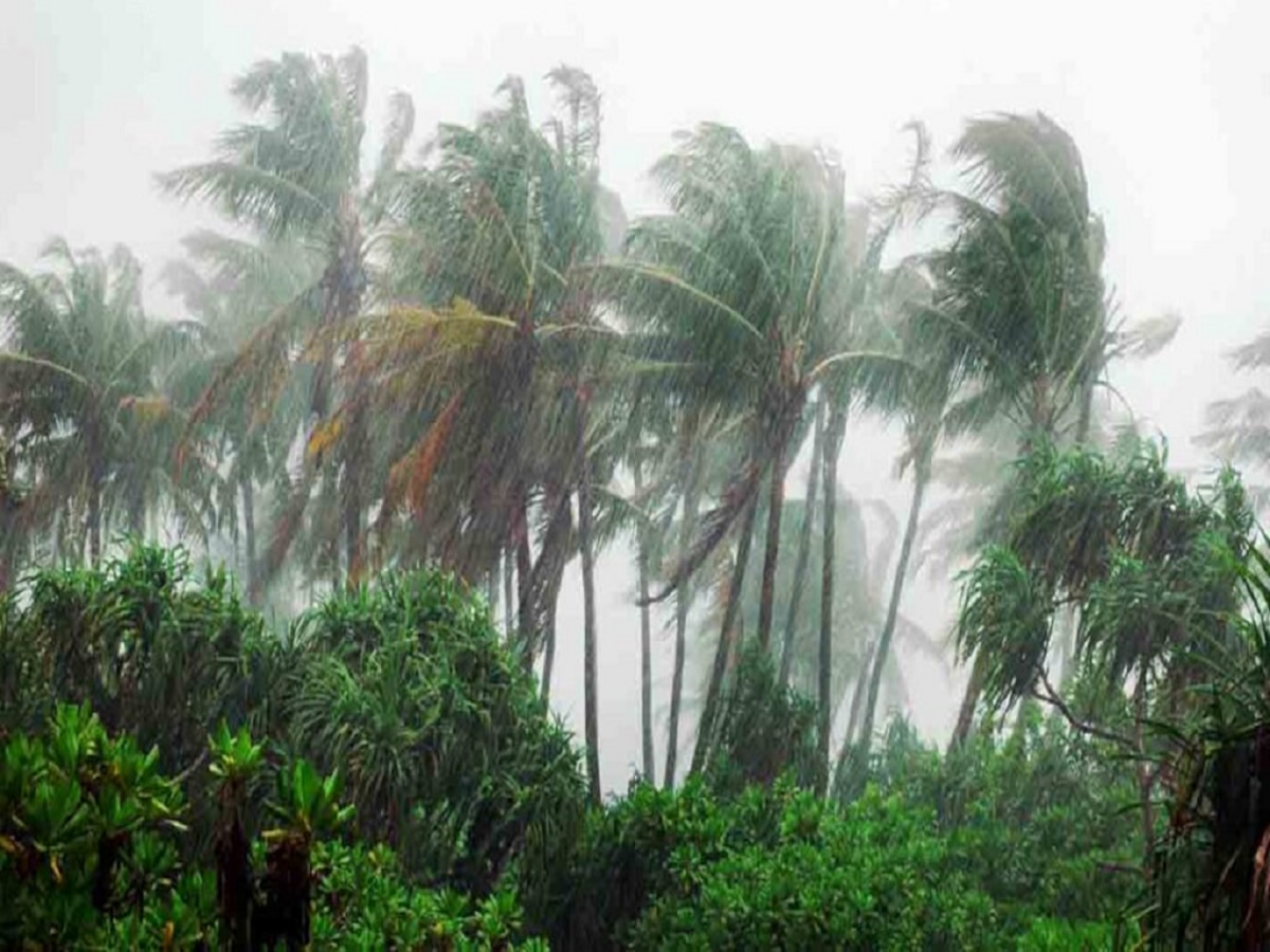 Maharashtra Weather News : मुंबईत पहाटेपासून मुसळधार; पुढील 24 तासांत कोणत्या भागांमध्ये पावसाची जोरदार बॅटिंग?  title=