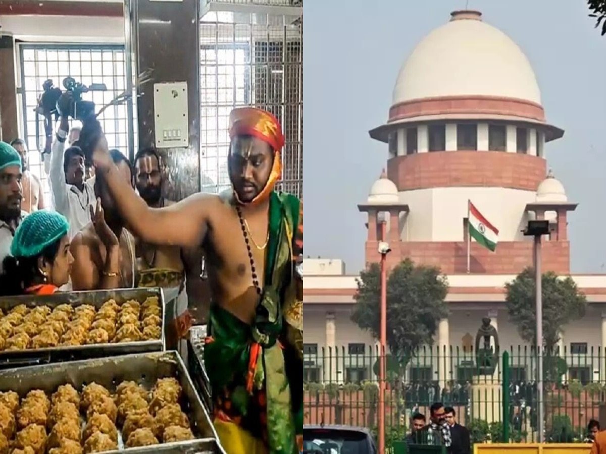 Tirupati Laddu: 'किमान देवाला तरी राजकारणापासून दूर ठेवा,' तिरुपती लाडू वादावरुन सुप्रीम कोर्टाने फटकारलं title=