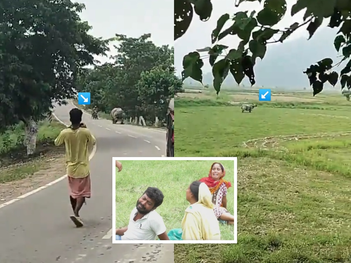 VIDEO: गेंड्याने तरुणाला खुल्या मैदानात पळवलं अन् अखेर...; लोक VIDEO काढत राहिले, कुटुंबाला चेहराही पाहावेना title=