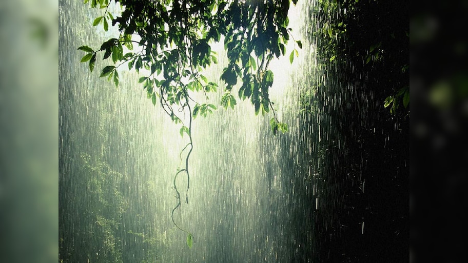 Maharashtra Weather News : पावसाचा जोर कमी होताच तापमानात वाढ; लक्षपूर्वक वाचा हवामान वृत्त... 