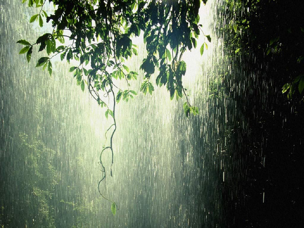Maharashtra Weather News : पावसाचा जोर कमी होताच तापमानात वाढ; लक्षपूर्वक वाचा हवामान वृत्त... Maharashtra Weather News : पावसाचा जोर कमी होताच तापमानात वाढ; लक्षपूर्वक वाचा हवामान वृत्त...