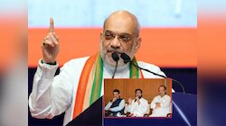 अमित शहांना 2029 मध्ये हवंय शुद्ध कमळाचं सरकार, भाजपच्या मित्रपक्षांचं काय होणार?
