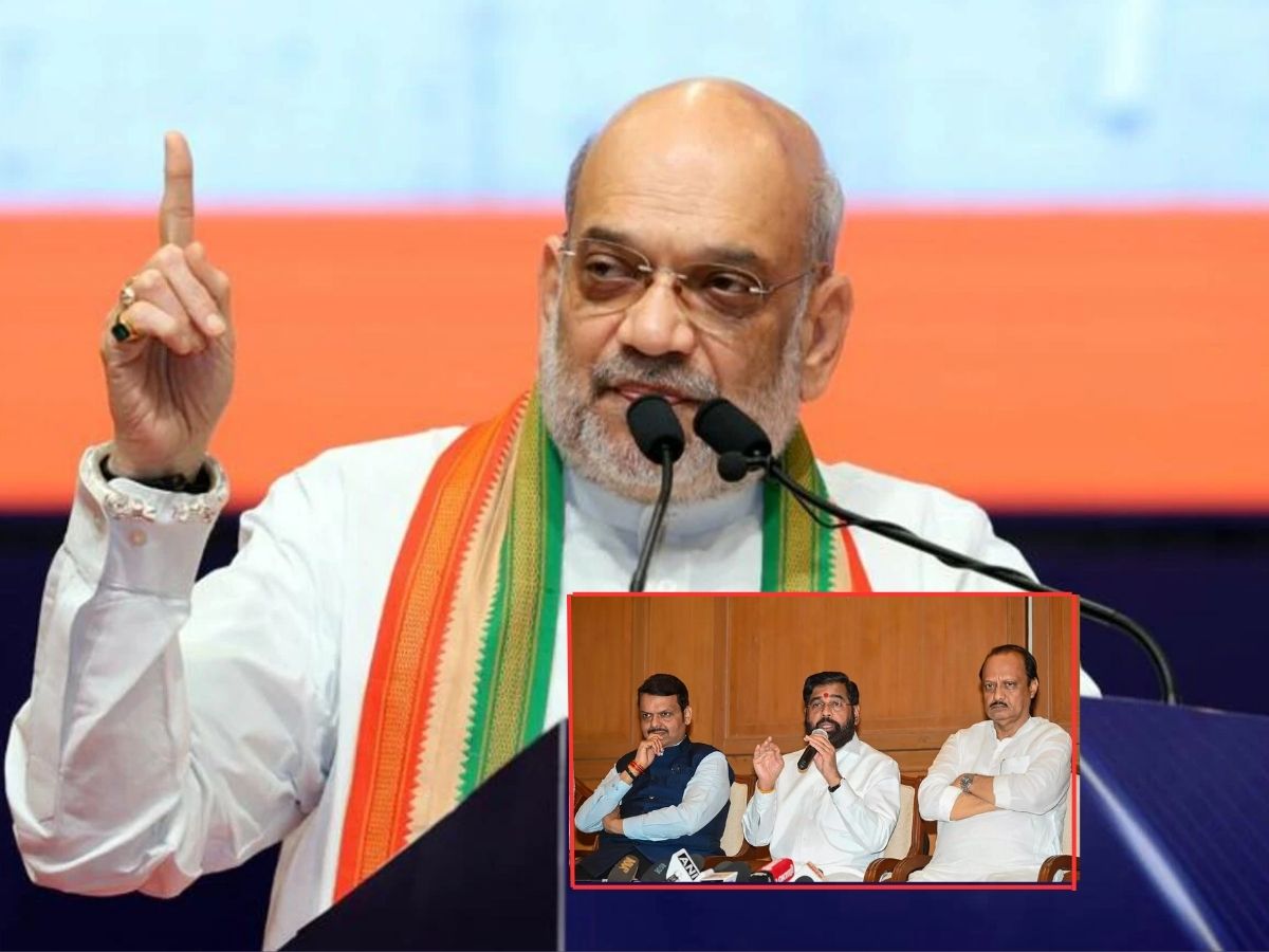 अमित शहांना 2029 मध्ये हवंय शुद्ध कमळाचं सरकार, भाजपच्या मित्रपक्षांचं काय होणार? अमित शहांना 2029 मध्ये हवंय शुद्ध कमळाचं सरकार, भाजपच्या मित्रपक्षांचं काय होणार?