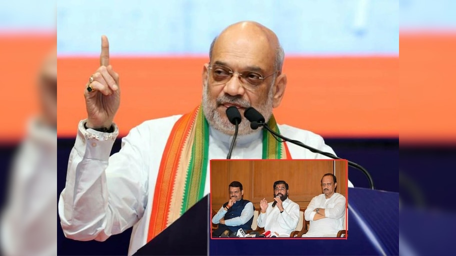 अमित शहांना 2029 मध्ये हवंय शुद्ध कमळाचं सरकार, भाजपच्या मित्रपक्षांचं काय होणार?