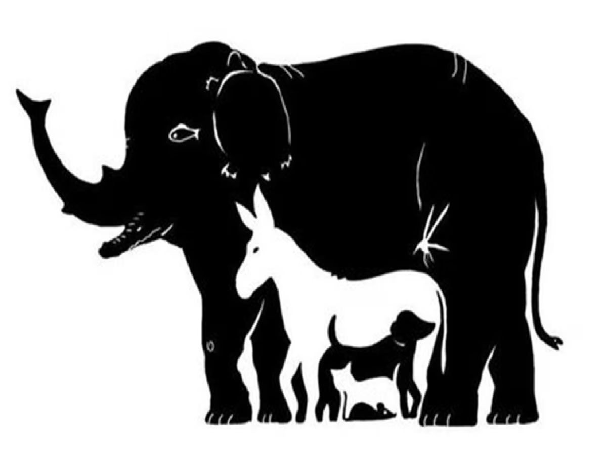 Optical Illusion: या फोटोने 'याड लावलं', यात लपलेत एक-दोन नाही तर 13 प्राणी... Optical Illusion: या फोटोने 'याड लावलं', यात लपलेत एक-दोन नाही तर 13 प्राणी...