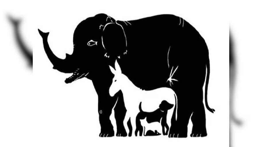 Optical Illusion: या फोटोने 'याड लावलं', यात लपलेत एक-दोन नाही तर 13 प्राणी... 