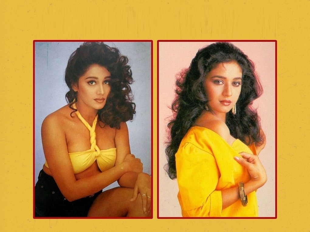 Who Is This Bollywood Actress lookalike madhuri dixit